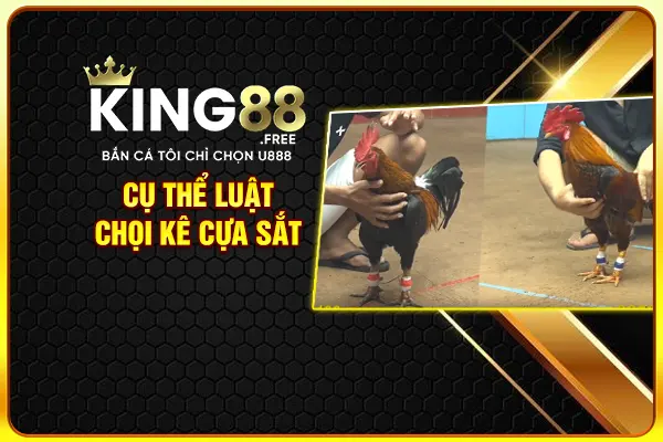 Cụ thể luật chọi kê cựa sắt Cụ thể luật chọi kê cựa sắt