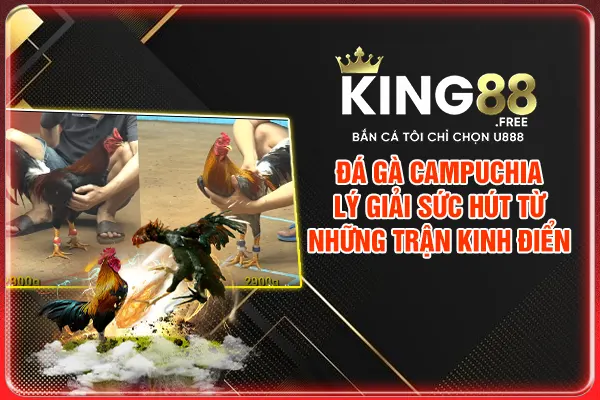 Đá Gà Campuchia - Lý Giải Sức Hút Từ Những Trận Kinh Điển