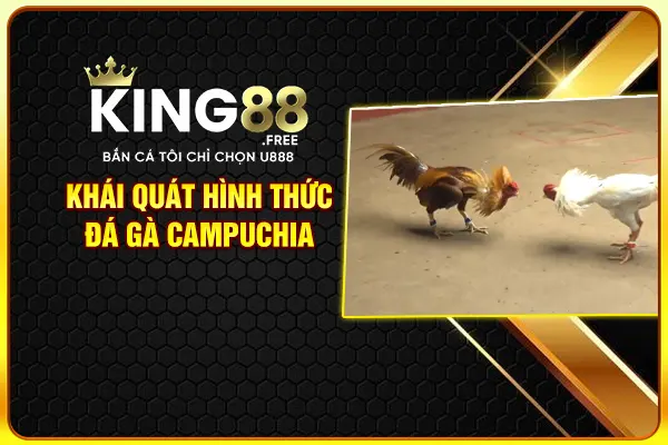 Khái quát hình thức đá gà Campuchia Khái quát hình thức đá gà Campuchia