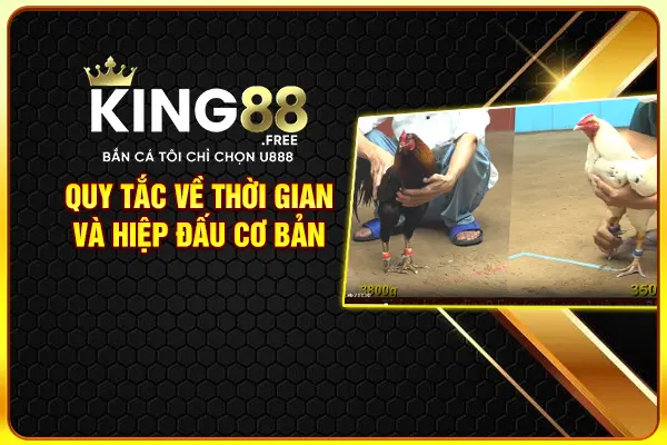 Quy tắc về thời gian và hiệp đấu cơ bản Quy tắc về thời gian và hiệp đấu cơ bản