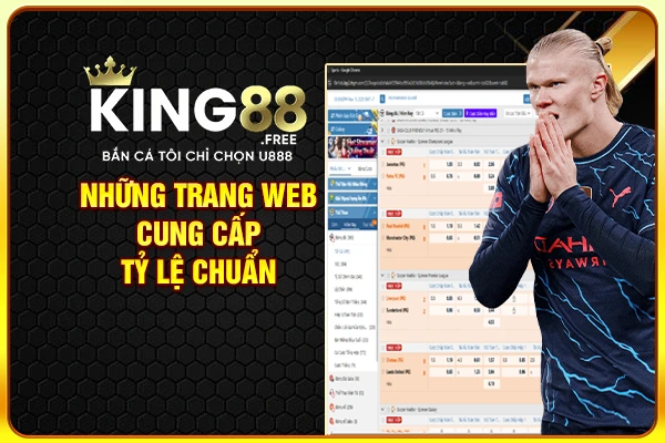Những trang web cung cấp tỷ lệ chuẩn Những trang web cung cấp tỷ lệ chuẩn